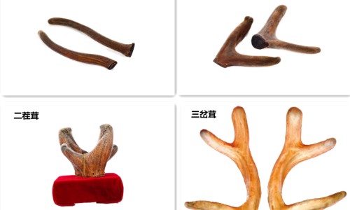 乙肝病人的血弄到手上会被感染吗-乙肝病人感冒打什么针网 :分享乙肝病人的汗液有没有传染性-乙肝病人打干扰素有什么副作用知识