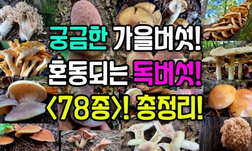 乙肝病人的汗液有没有传染性-乙肝病人感冒打什么针网 :分享乙肝病人的汗液有没有传染性-乙肝病人打干扰素有什么副作用知识