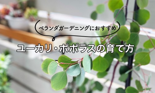 乙肝能活多久-乙肝病人感冒打什么针网 :分享乙肝病人的汗液有没有传染性-乙肝病人打干扰素有什么副作用知识